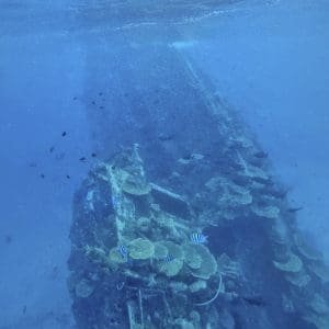 Underwater photo of Vaavu shipwreck from a distance showcasing corals and fish